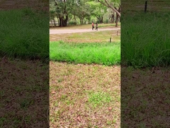 تكنولوجيا مبتكرة لوحة شمسية محمولة 100 واط للمغامرات في الهواء الطلق