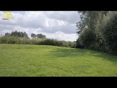 لوحة شمسية IBC